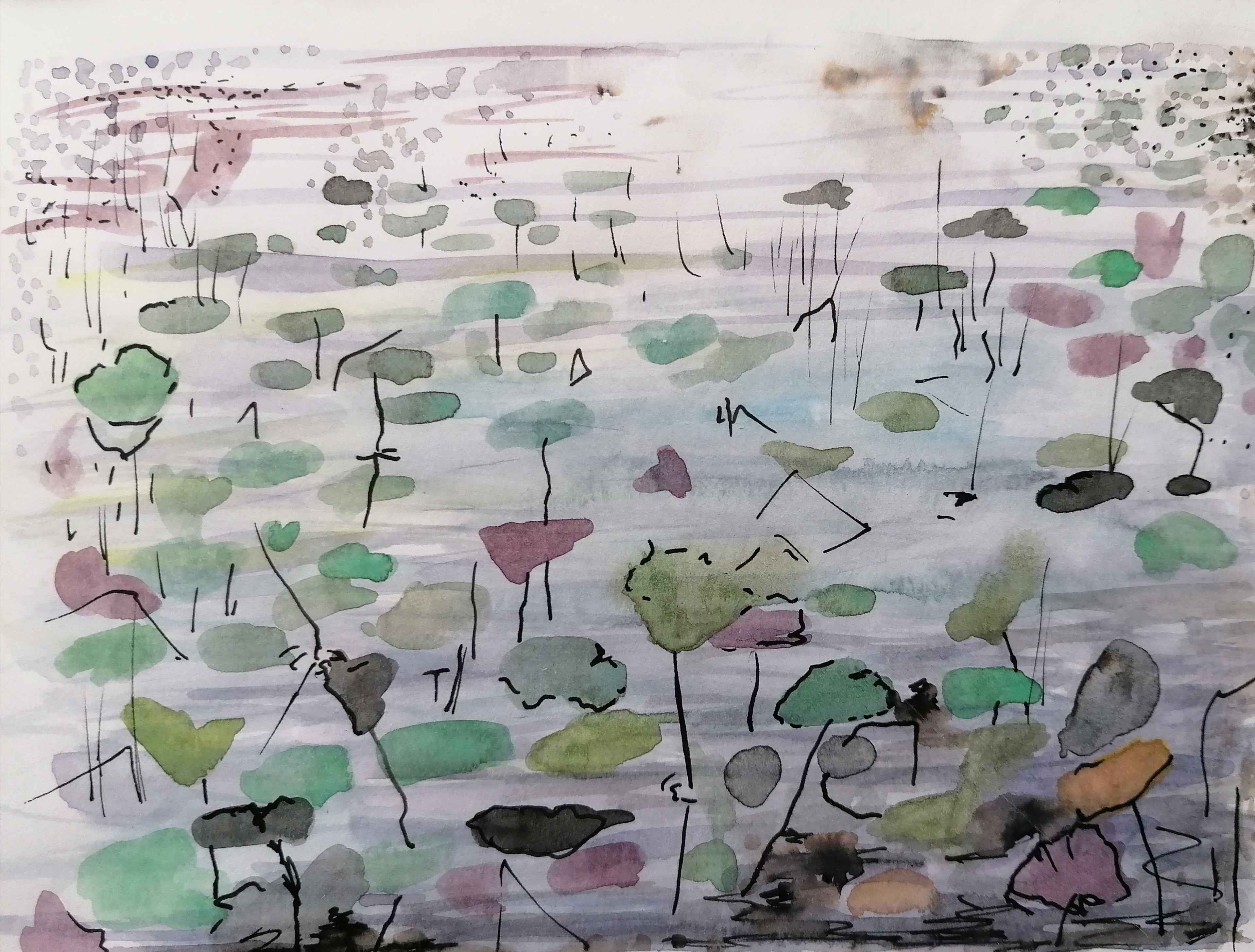 Lotus Pool